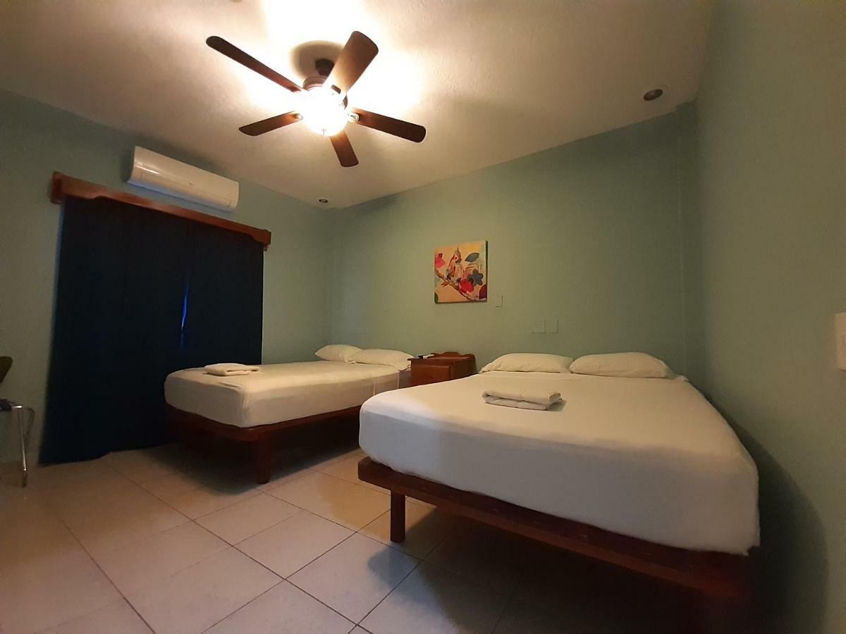 Maya Bella Downtown Hotel San Ignacio Eksteriør bilde